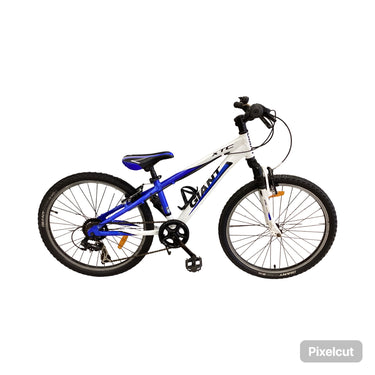 giant Xtc Bike - 24